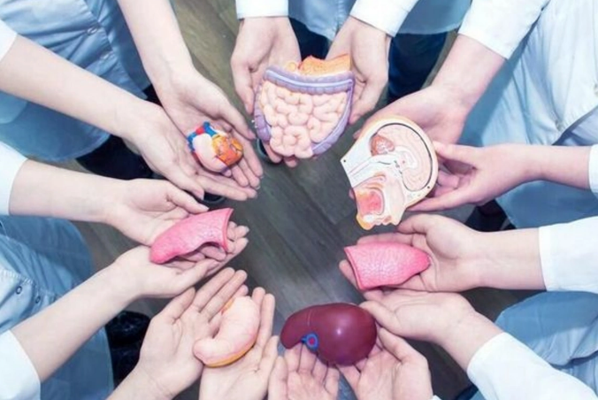 Azərbaycanda orqan transplantasiyası: Minə yaxın insan ümidlə gözləyir