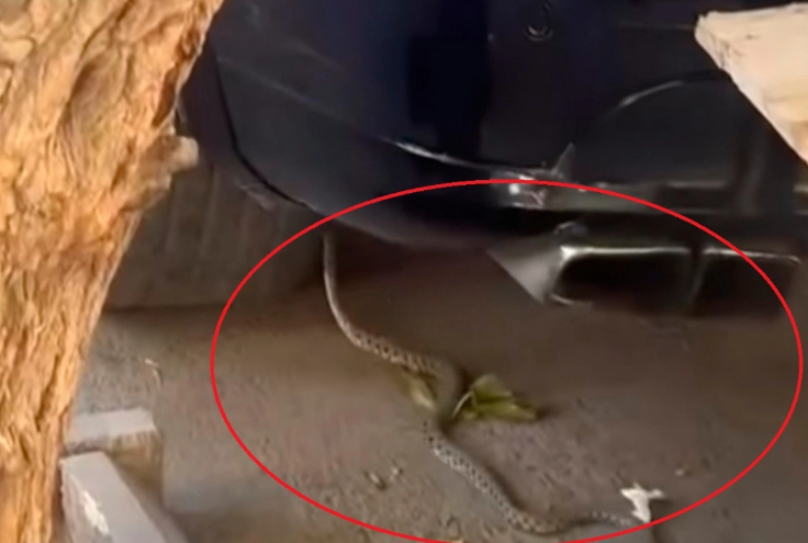 DİQQƏT: Metronun "28 May" stansiyasının qarşısında ilanlar peyda olub