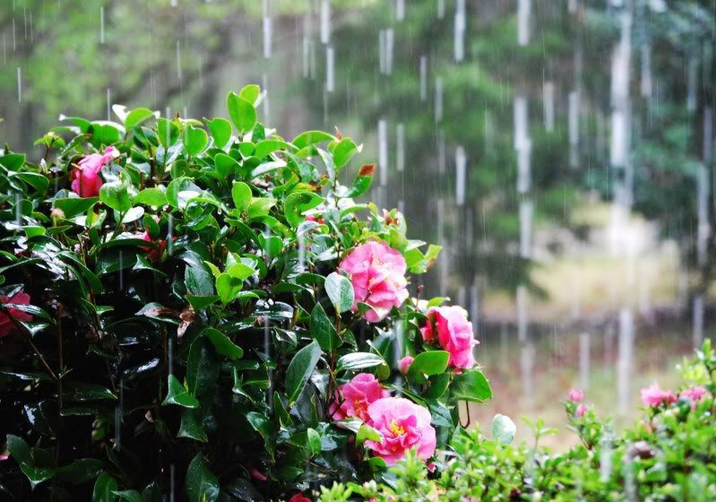 Sabah yağış yağacaq - HAVA PROQNOZU