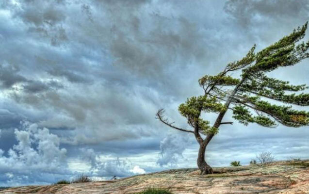 Sabah hava küləkli olacaq
