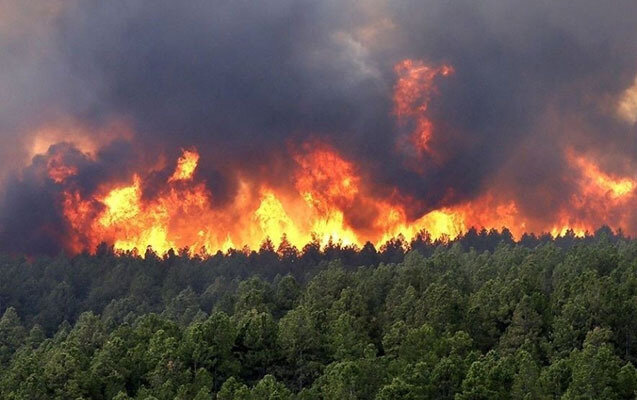 Azərbaycanda yanğına həssas bölgələr - Siyahı