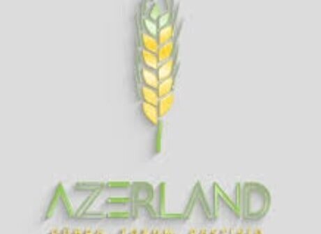 "Azerland" MMC ölkədən külli miqdarda pul çıxarıb? – Məhkəmə