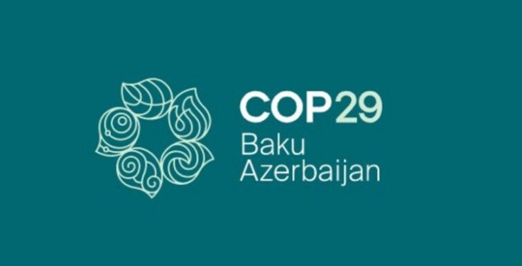 COP29 zamanı Azərbaycanda terror aktı törədilə bilərmi? – AÇIQLAMA