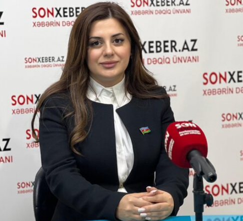 "Ermənistan Gürcüstandakı hadisələrdən sonra Qərbin regionda əsas dayaq nöqtəsi olmağa çalışacaq" - Deputat