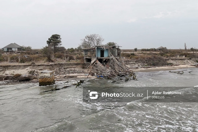 Azərbaycanda 1 sakini olan ada - Hazırda ancaq vəhşi atlar yaşayır - FOTO