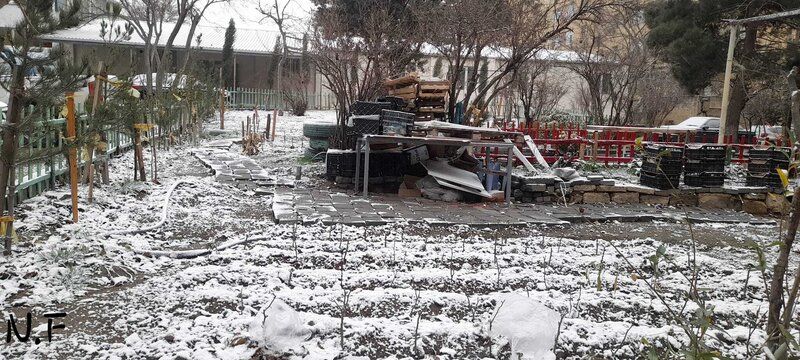 Bakıya ilk qar yağır - Video