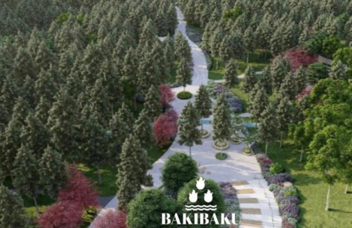 Bakıda yeni park salınır - RƏSMİ