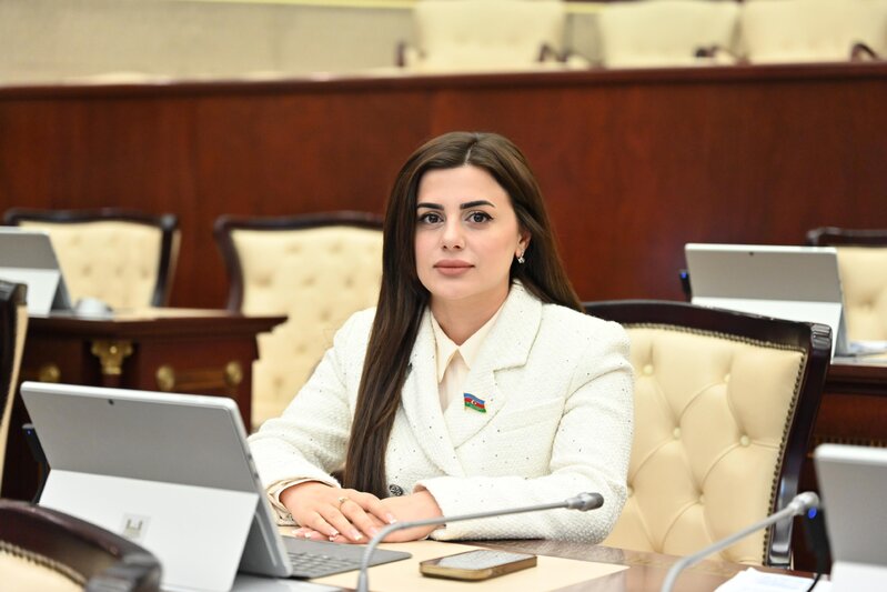 "Paşinyan Ermənistanın dağ-mədən müəssisələrinin qapılarını beynəlxalq monitorinq qrupuna açmalıdır" - DEPUTAT