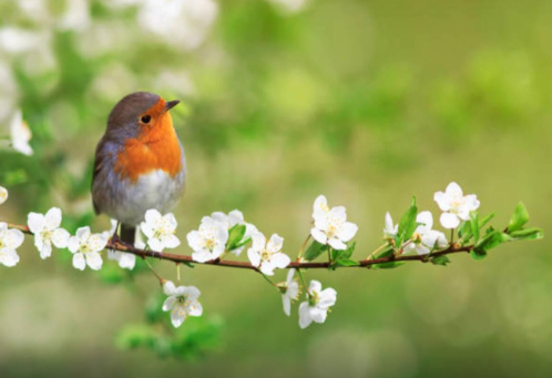 Sabah 30 dərəcə isti olacaq