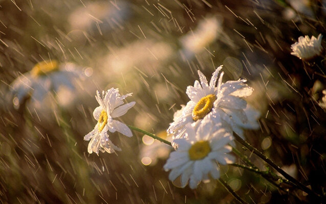 Sabah hava necə olacaq?