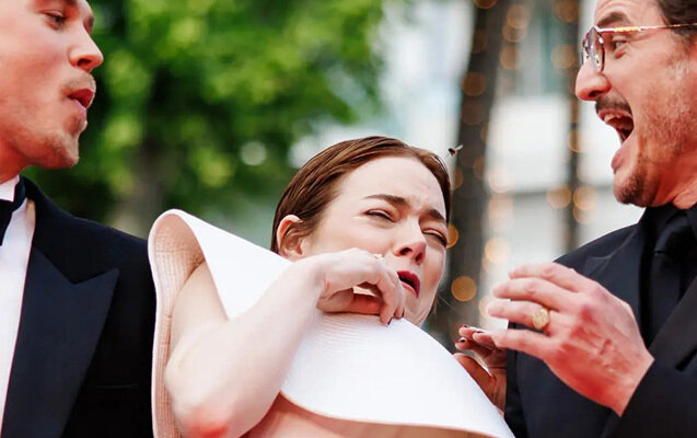 Qırmızı xalçada arıdan qorxdu - Video