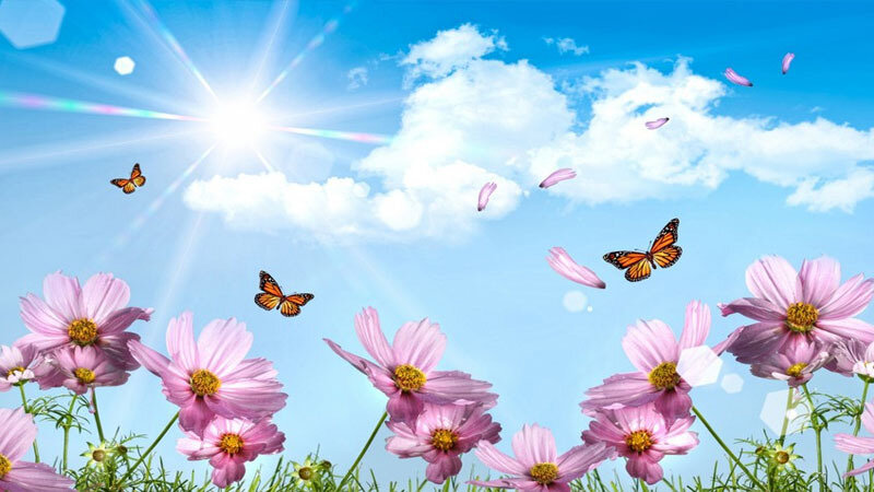 Sabah 32 dərəcə isti olacaq