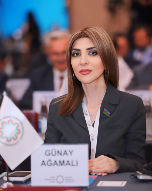 "28 May xalqımızın tarixində müstəqillik və dövlətçilik ideallarına söykənən şanlı bir səhifədir" - DEPUTAT