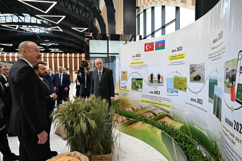 Əliyevlə Ərdoğana simvolik hədiyyə edildi - FOTO