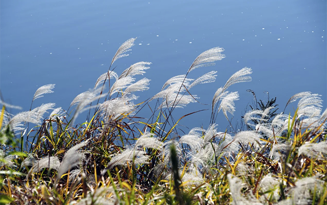 Küləklə bağlı - Xəbərdarlıq