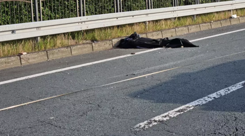 Arı qəzaya səbəb oldu: Bacı və qardaş həyatını itirdi