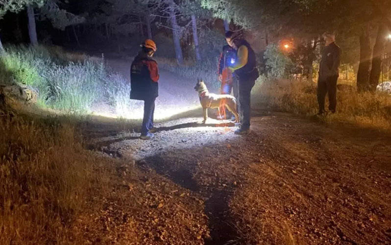 Bir daha xəbər alınmadı: Meşəyə girdi və itkin düşdü - FOTO