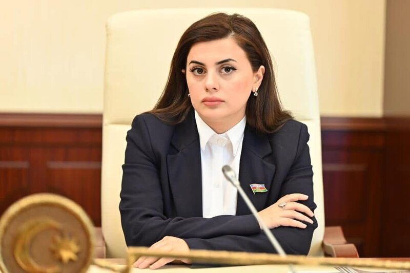 "Rusiya dövləti azərbaycanlılara qarşı bu vəhşiliyi törədən hər bir şəxsə qarşı dərhal və qəti hüquqi tədbirlər görməlidir" - DEPUTAT