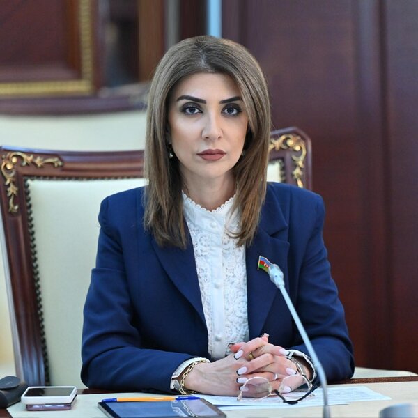 "Rusiyanın Federal Təhlükəsizlik Xidmətinin basqını nəticəsində həmvətənlərimizin həyatını itirməsi dərin təəssüf və narahatlıq doğurur"