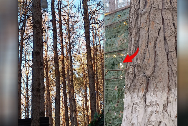 Bu parkda yerləşən çay evlərindən ŞİKAYƏT