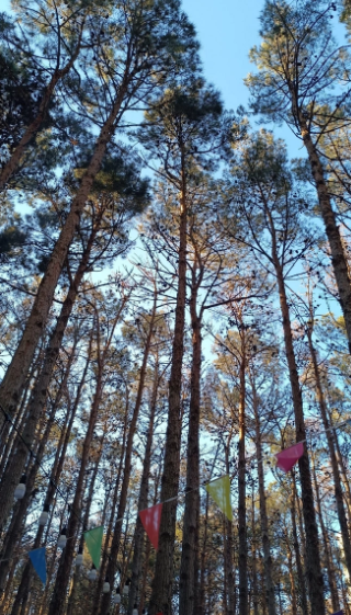 Bu parkda yerləşən çay evlərindən ŞİKAYƏT