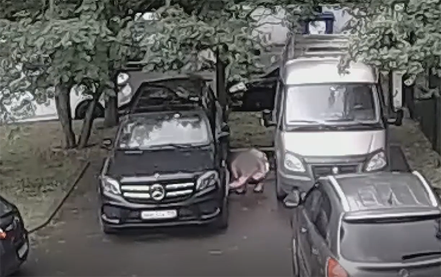 Rusiyalı qız öz ölkəsindən çıxa bilmək üçün terror aktına cəhd etdi - Video