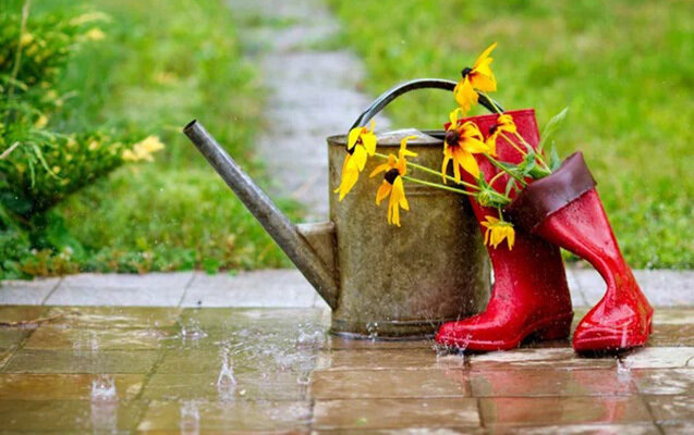 Bu ərazilərə yağış yağır