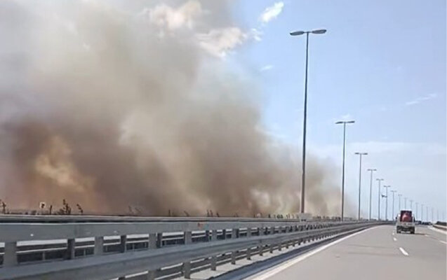 Bakıda ağaclıq sahə yanır - Video