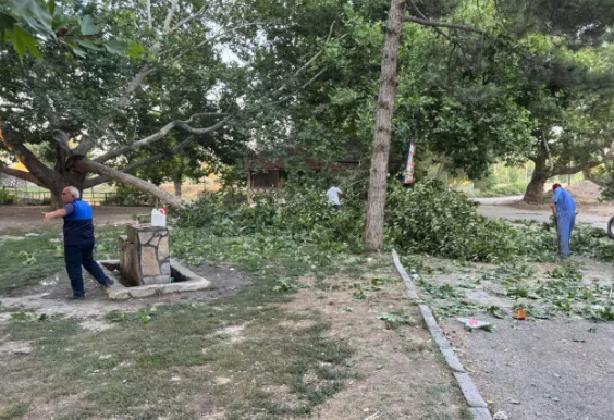 Piknik zamanı ağac budağı ailənin üzərinə düşdü: 11 nəfər xəstəxanaya yerləşdirildi