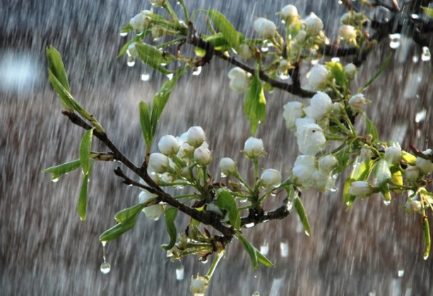 XƏBƏRDARLIQ! Hava kəskin dəyişir - Bu tarixə qədər YAĞIŞ YAĞACAQ