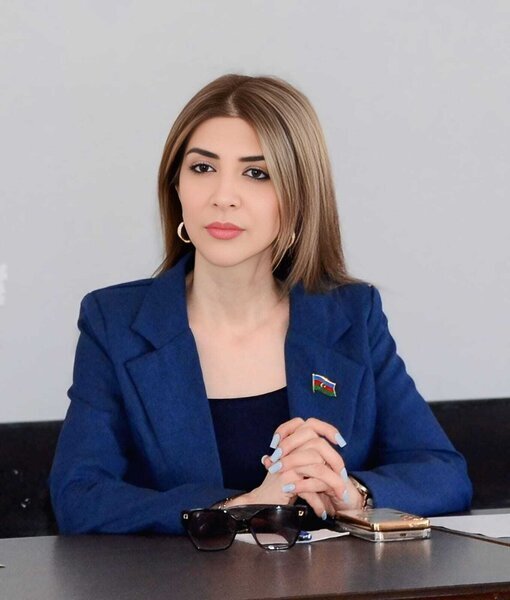 "İnformasiya və kommunikasiya texnologiyalarının inkişaf etdirilməsi Azərbaycanın gələcək inkişafının ayrılmaz tərkib hissəsidir" - DEPUTAT