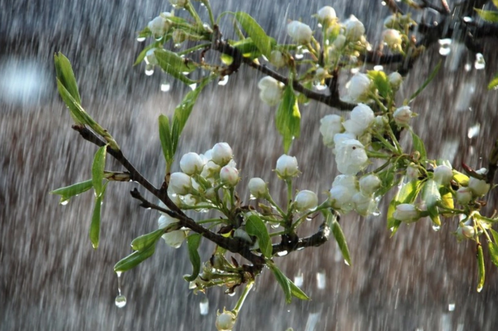 Sabah bəzi rayonlara leysan yağacaq, şimşək çaxacaq
