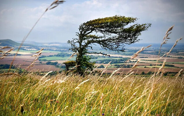 Külək nə vaxtadək davam edəcək?
