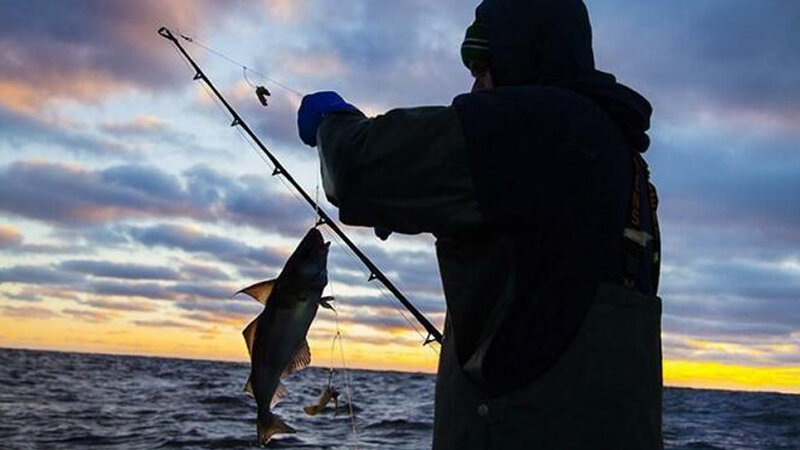 Sentyabrın 1-dən balıq ovuna icazə veriləcək