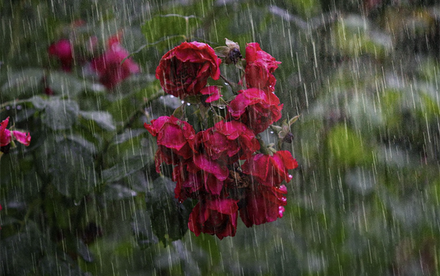 Yağış yağacaq, şimşək çaxacaq