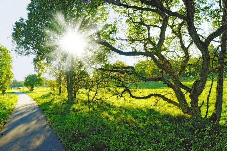 Bakıda 33 dərəcə isti olacaq