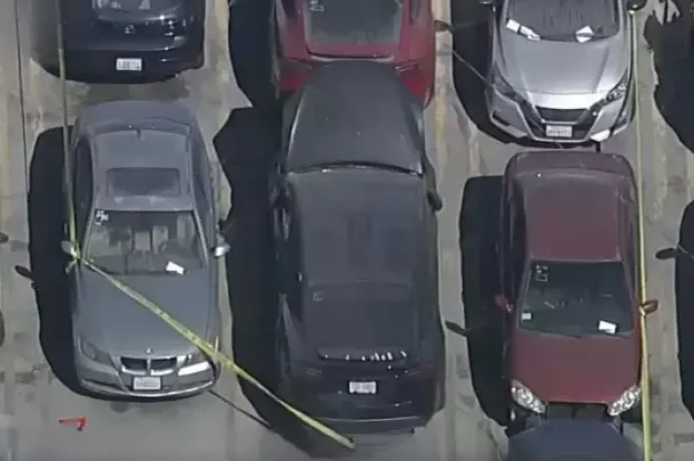 Məşhur müğənninin maşınından meyit TAPILDI