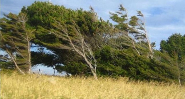 Küləkli hava ilə bağlı sarı və narıncı xəbərdarlıq verilib