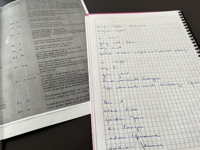 Dilimizi öyrənməyə başladı - Foto