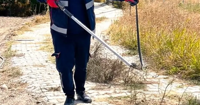 Bağ evinə girən ilan xilasetmə xidməti tərəfindən tutuldu