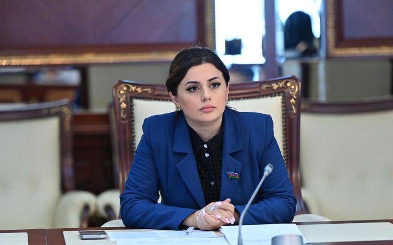 "Bu cür yüksək səviyyəli görüşlər iki ölkə arasında siyasi, iqtisadi və mədəni əməkdaşlığın dərinləşməsin töhfə verir" - DEPUTAT