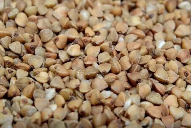 Qan laxtalanmasından və yüksək xolesteroldan qoruya bilən ucuz QİDA