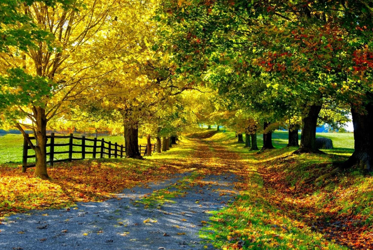 Sabah 25 dərəcə isti olacaq