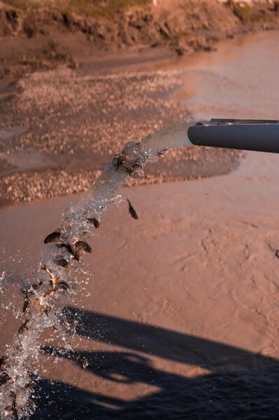 Leyla və Arzu Əliyevalar Qaxda açılışda - Fotolar