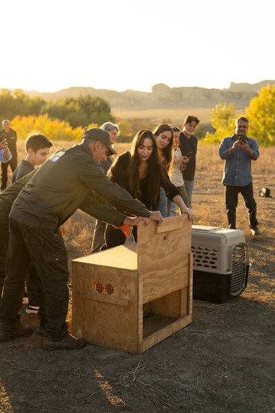 Leyla və Arzu Əliyevalar Qaxda açılışda - Fotolar