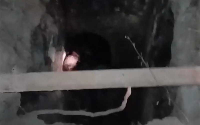 65 yaşlı kişi quyuya düşdü - Foto