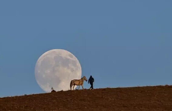 Vanda çəkildi, hər kəs bu kadrı paylaşır - FOTO