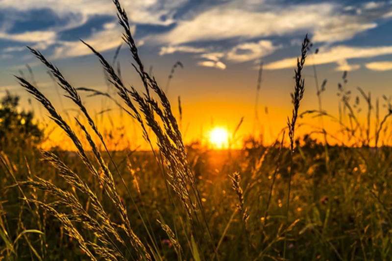 Sabah hava əsasən yağmursuz, bəzi yerlərdə dumanlı olacaq - HAVA PROQNOZU