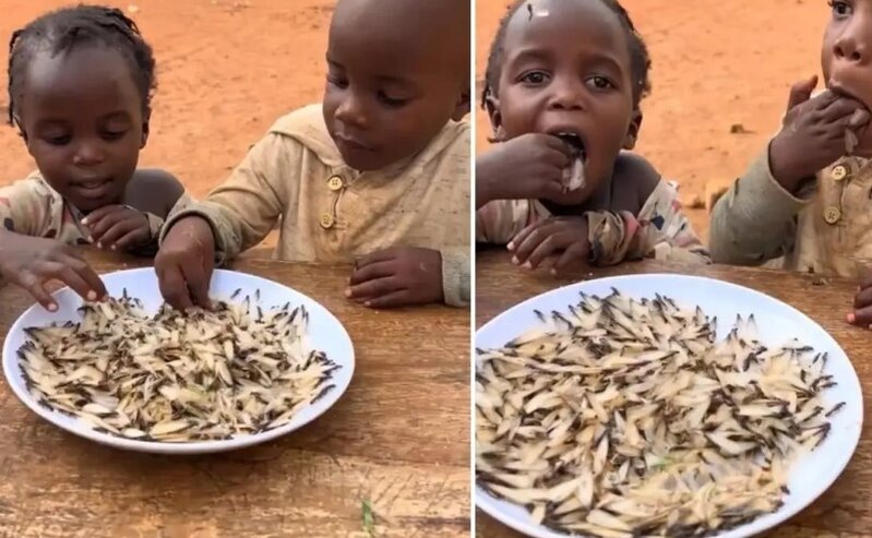 Aclıqla mübarizə aparan uşaqlar görün nə ilə qidalanır - VİDEO