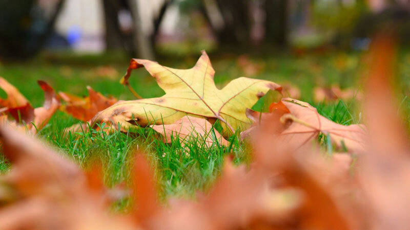 Sabah 21 dərəcə isti olacaq